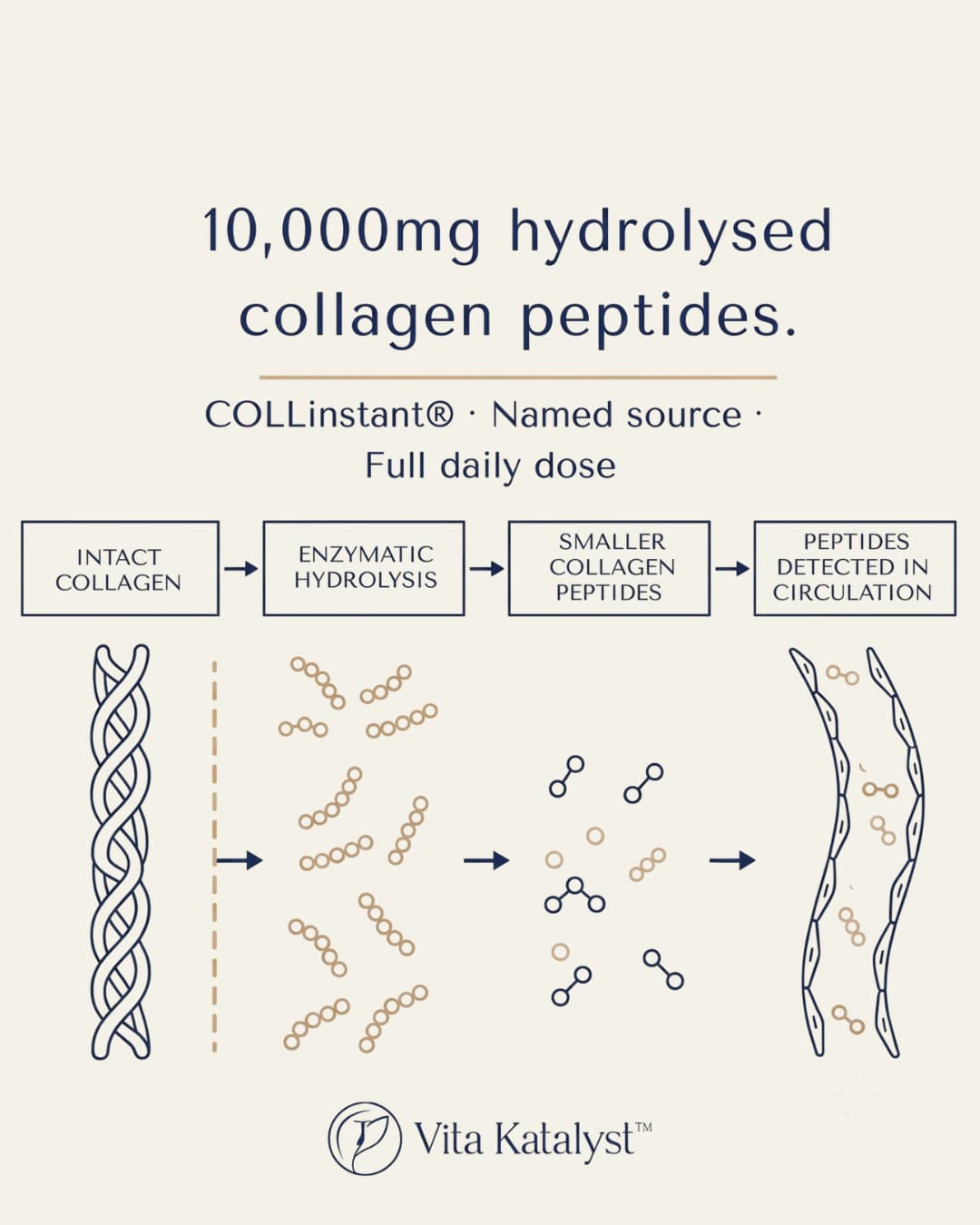 Formulated beyond collagen 13