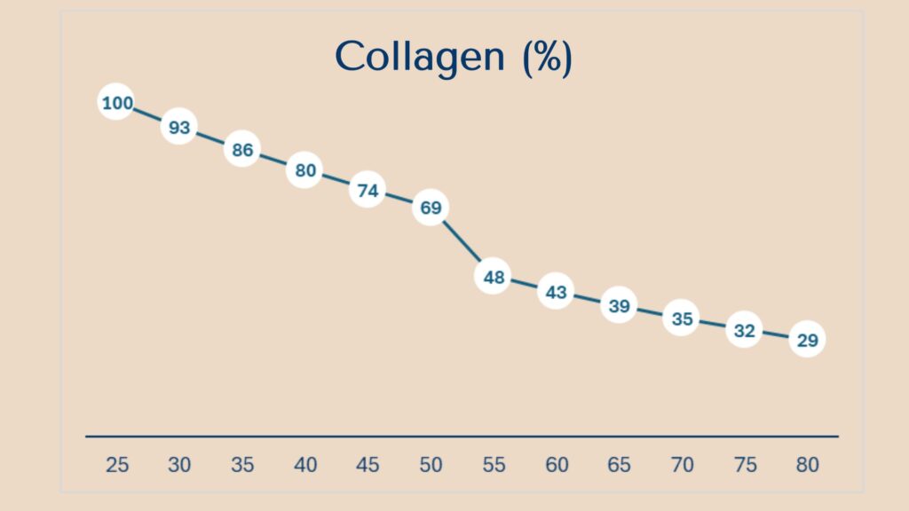 A graph illustrating collagen decline with age, 1.5 % per annum 