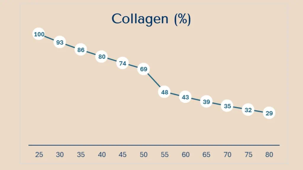 A graph illustrating collagen decline with age, 1.5 % per annum 