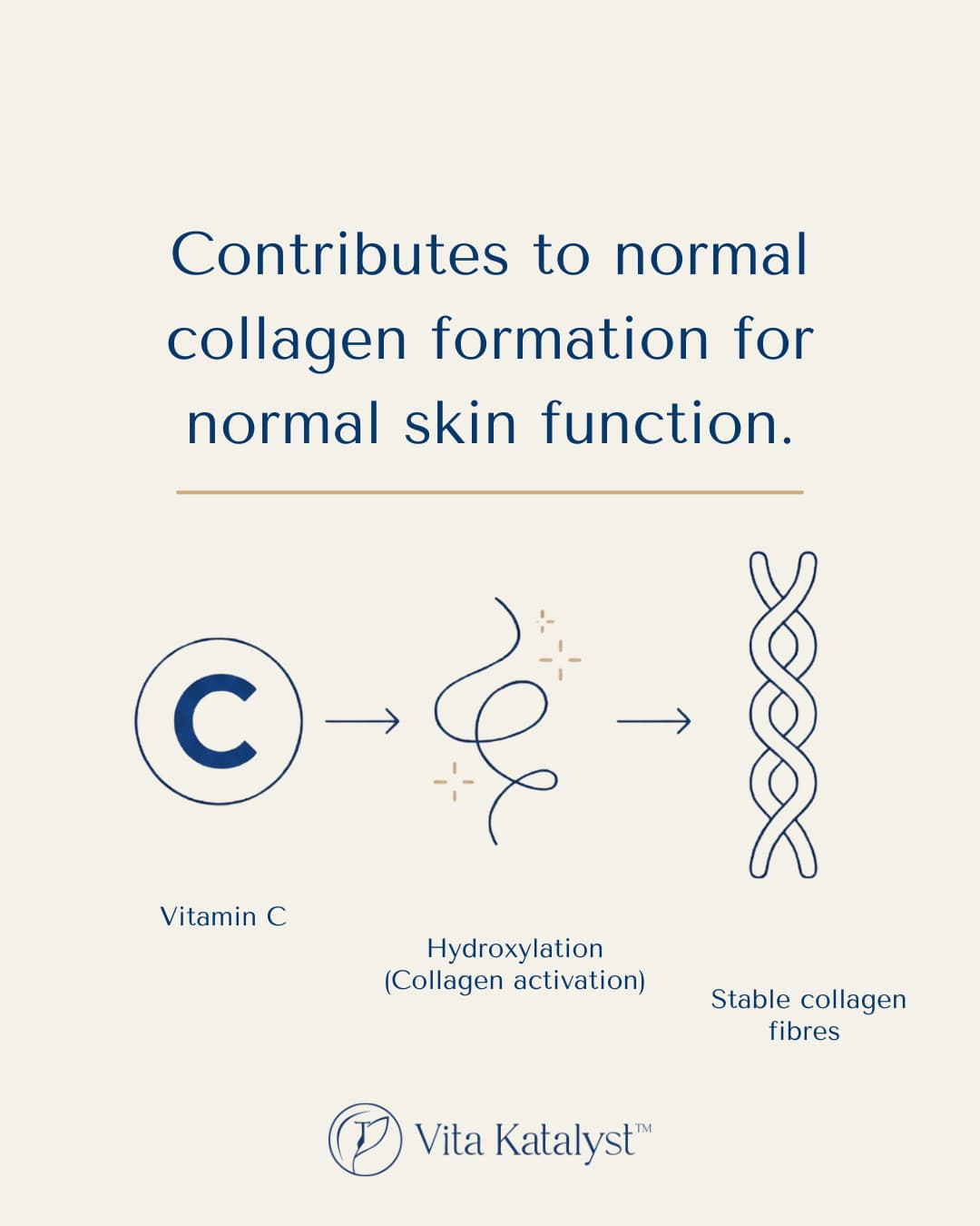 Formulated beyond collagen 7