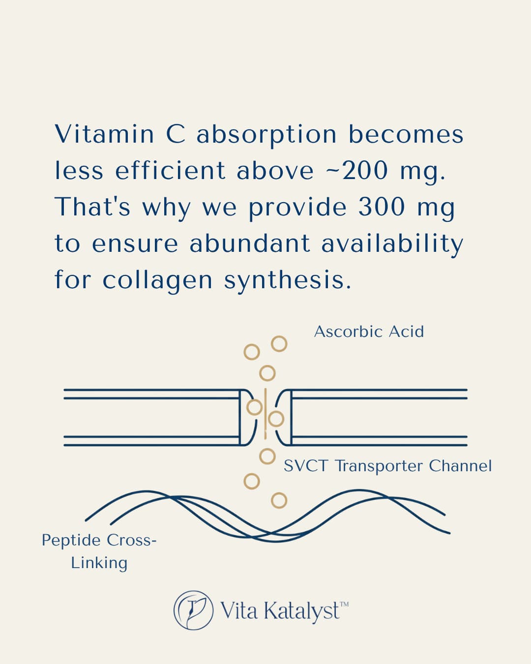 Formulated beyond collagen 9