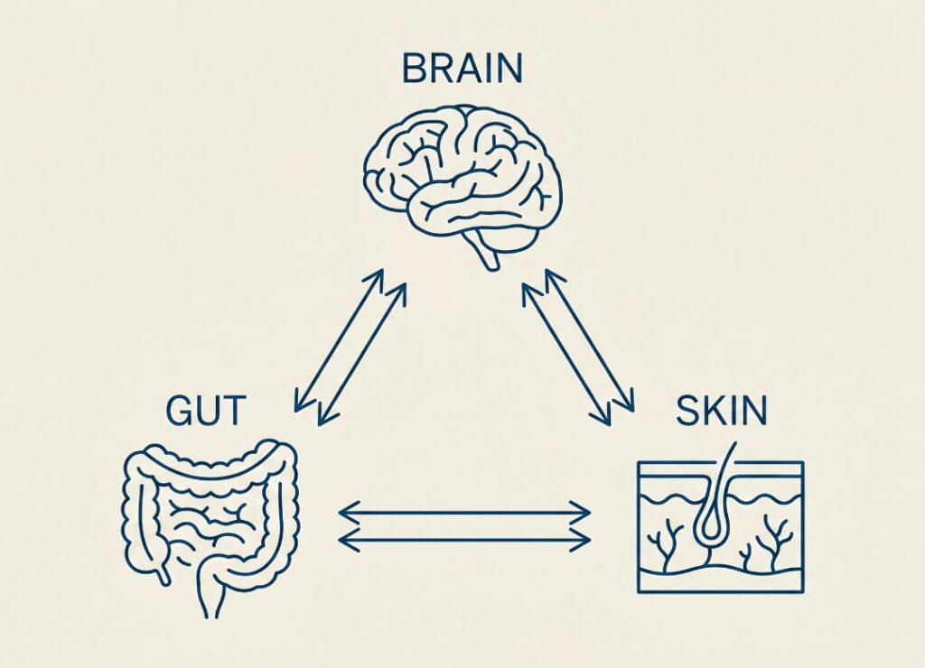 gut brain skin axis