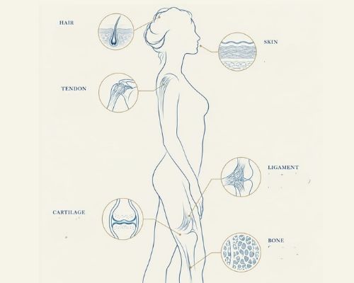 Untitled Design (14)