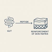 20250626_1742_Peptide Skin Reinforcement_simple_compose_01jyphv2n4e069yx1xcky9q7b2 (1)